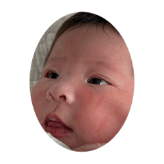 emi_20250825225918