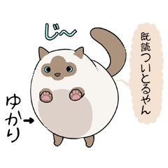おならで喋るねこ ゆかり Line スタンプ Line Store