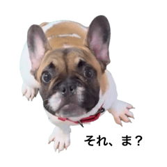 Rinka_20250825182216