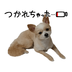 yuto_20250825183705