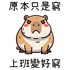 胖胖水豚✦原本只是窮 上班變好窮