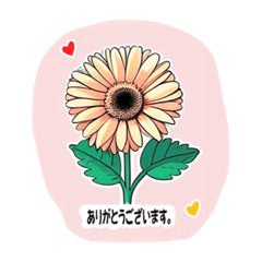 Martha_20250825212237