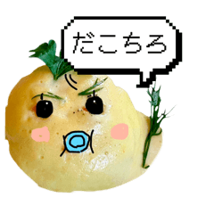 h@netelCo_20250825140421