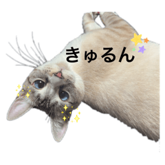 chiisamatomugisamanosutanp1