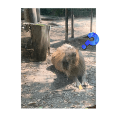 t_20250825210114