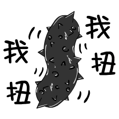 black strip(Sea cucumber)