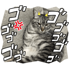 RYOUSEI_20250824215324