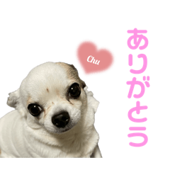 iha.m_20250825032506