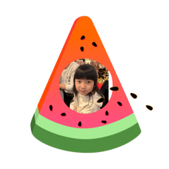林家人
