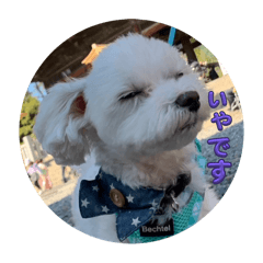 Mochi_20250825193352