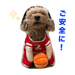 Suzu_20250825083253