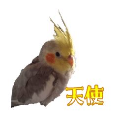 himawari_20250824231353