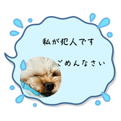 K_20250825133903