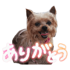 M_20250825222059