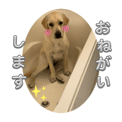 Akane_20250826095135