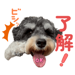 tsuki_20250825172230