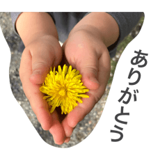 mikan_20250825123111