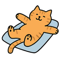 แมวน้อยเนโกะขี้เล่น แสดงอารมณ์น่ารัก