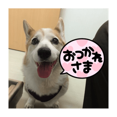 AYUMI_20250825225432