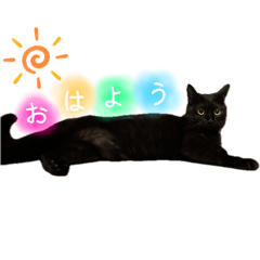 shiho_20250825231706