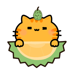 The orange cat is named durian