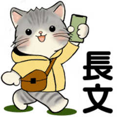 笑顔を運ぶ猫たち ♡ 気持ち伝わる長文