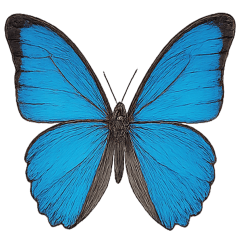 Lots of insect Sticker