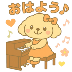 A Toy Poodle Girl Who Loves Piano