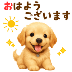 ゴールデン好きのためのかわいい日常