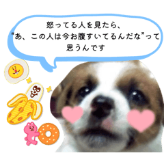 kiki_20250825211518