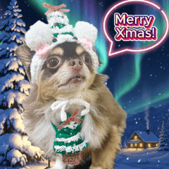 超愛聖誕樹的北極熊吉娃娃