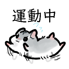 hikari_20250825091502