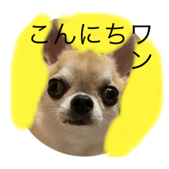 T_20250825214947