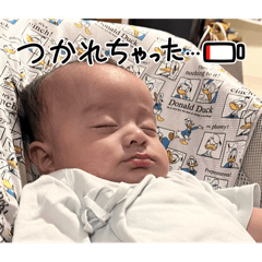 Sumire_20250825215339