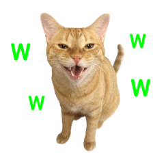 kasumi_20250825214710