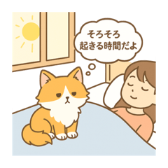 メルのお留守番