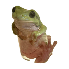 Silent stamp of Gacchan the tree frog