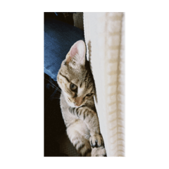 劉家野生動物保育協會