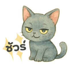 JO:The Korat Cat V.1
