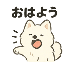 Fluffy Samoyed2
