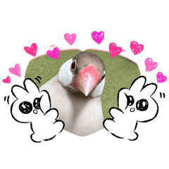 omochi_20250826070037