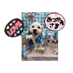 Sachi_20250826144420