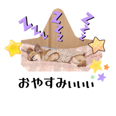 EMI_20250826111358