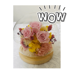 發現幸福，遇見我和她的你。