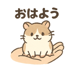 Palm Hamsters