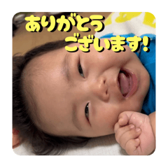 hikari_20250826023936