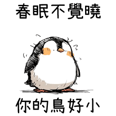 手繪風企鵝⭐春眠不覺曉 你的鳥好小