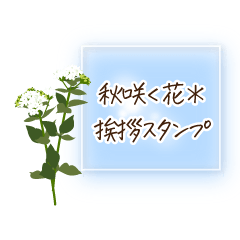 Autumn flower greeting stickers