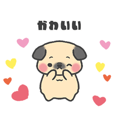 Cute and chubby pug Goo-chan