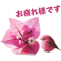 花と小鳥
